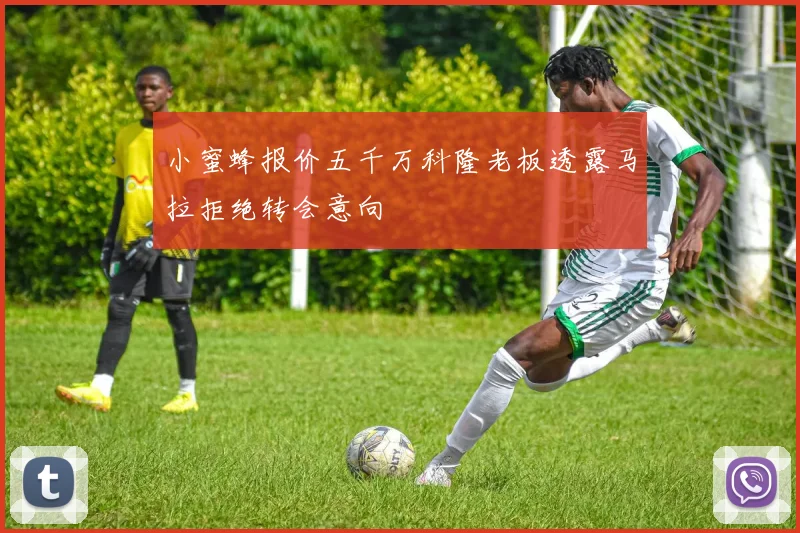 小蜜蜂报价五千万科隆老板透露马拉拒绝转会意向