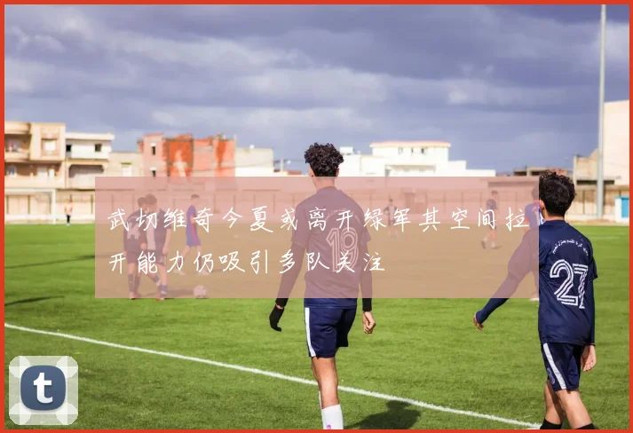 武切维奇今夏或离开绿军其空间拉开能力仍吸引多队关注