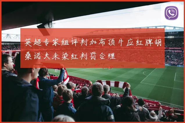 英超专家组评判加布顶牛应红牌胡桑诺夫未染红判罚合理