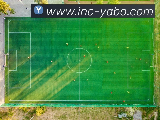 国际认证